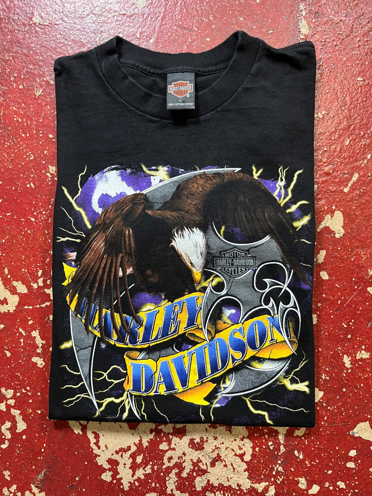 1998 Harley Davidson “Boise” Tee