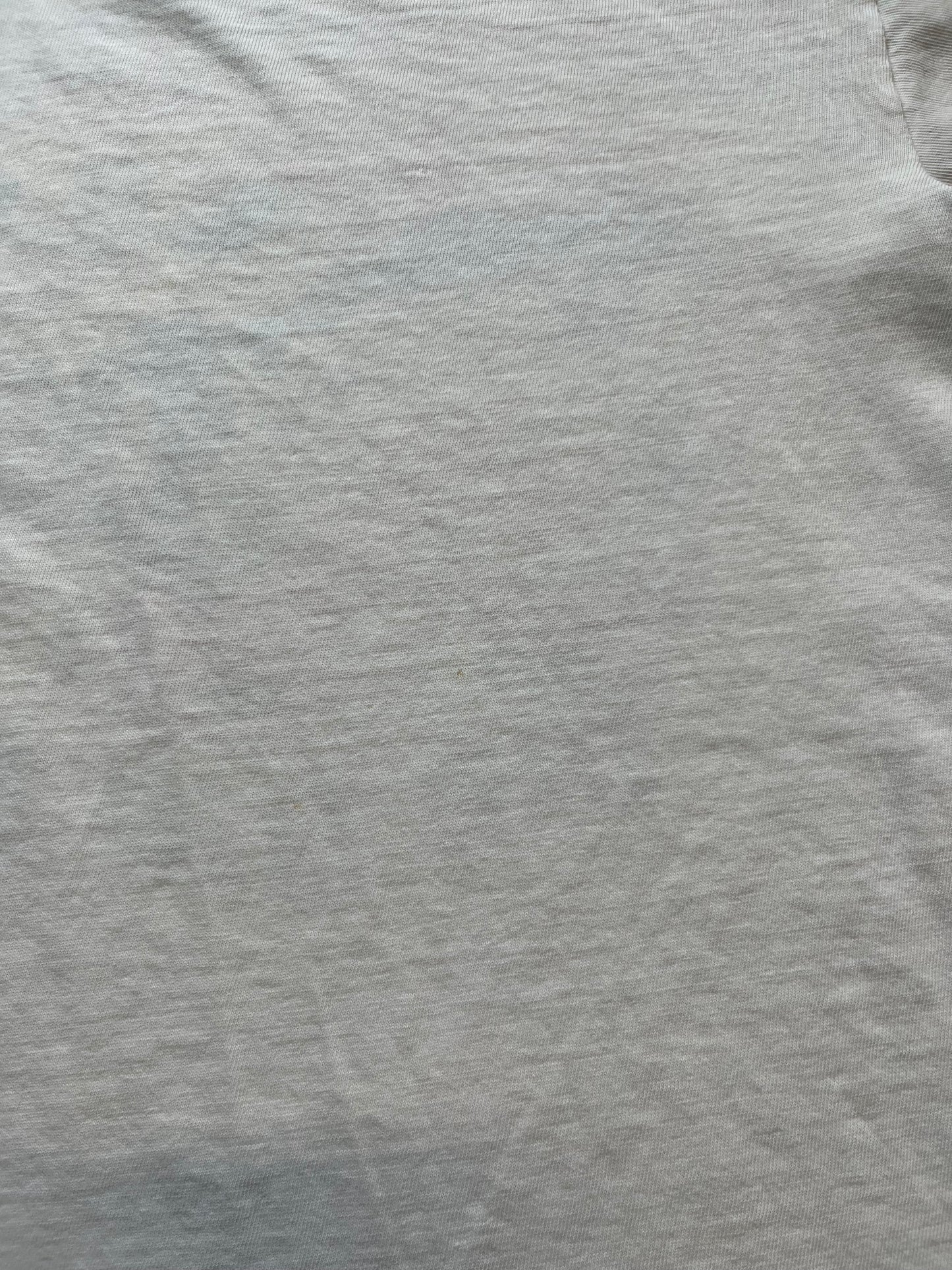 70s Champion Big Ten Ringer Tee