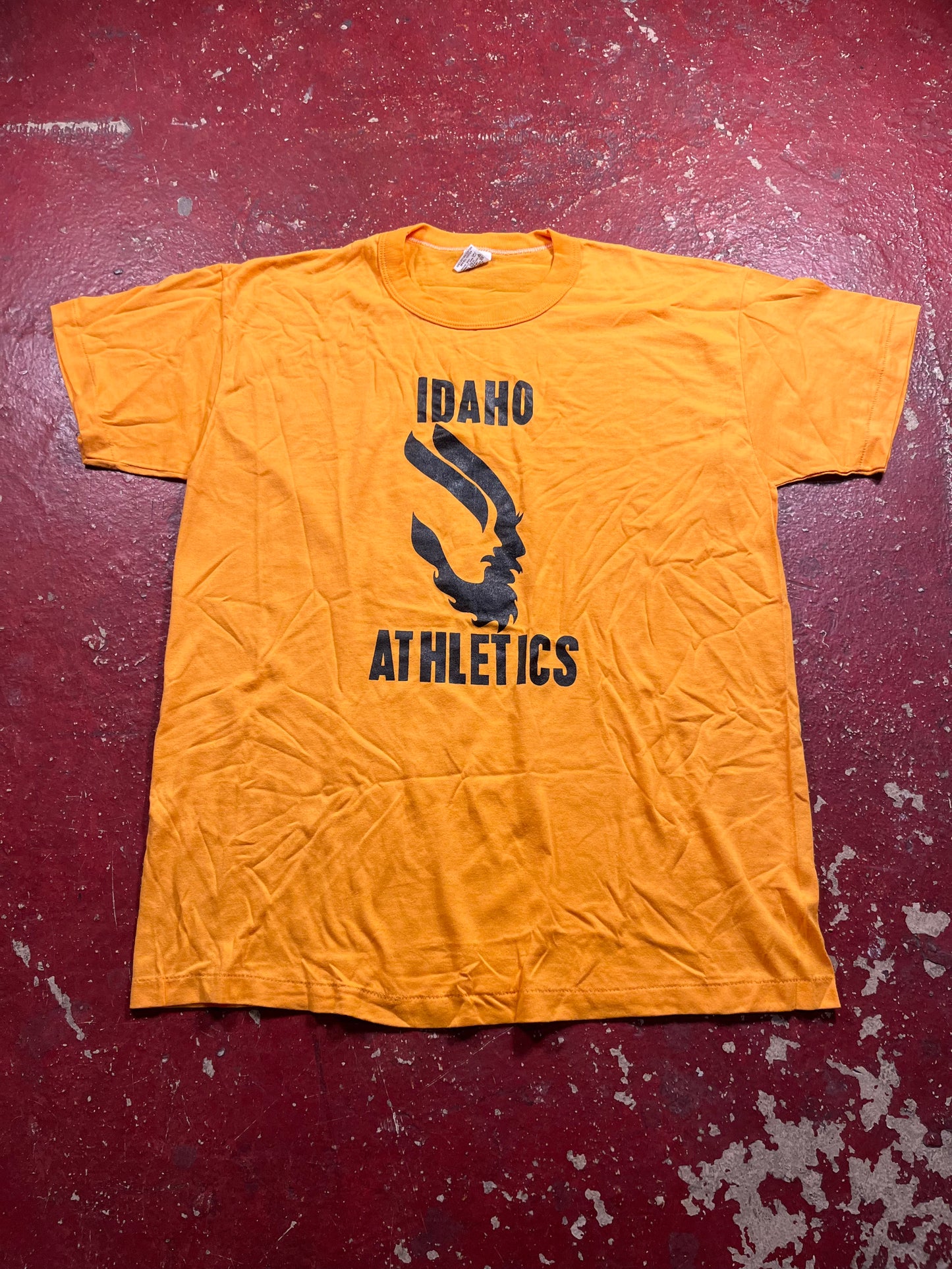 70s University Of Idaho Athletics Tee